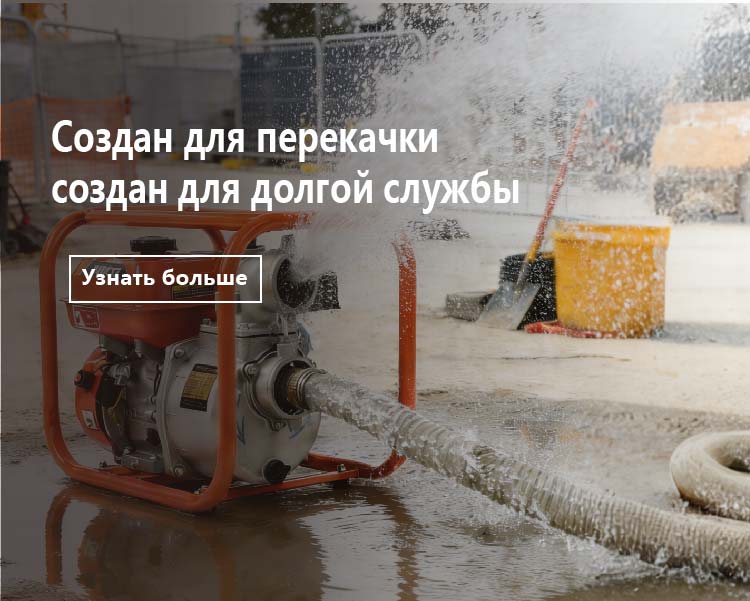 微信图片_2026-01-31_172010_712