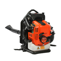 ВЫДУВКА НА СПИНУ С ДВИГАТЕЛЕМ